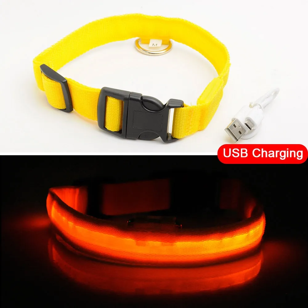 USB Charging Led Dog Collar Anti-Lost/Avoid Car Accident Collar For Dogs Puppies Dog Collars Leads LED Supplies Pet Products