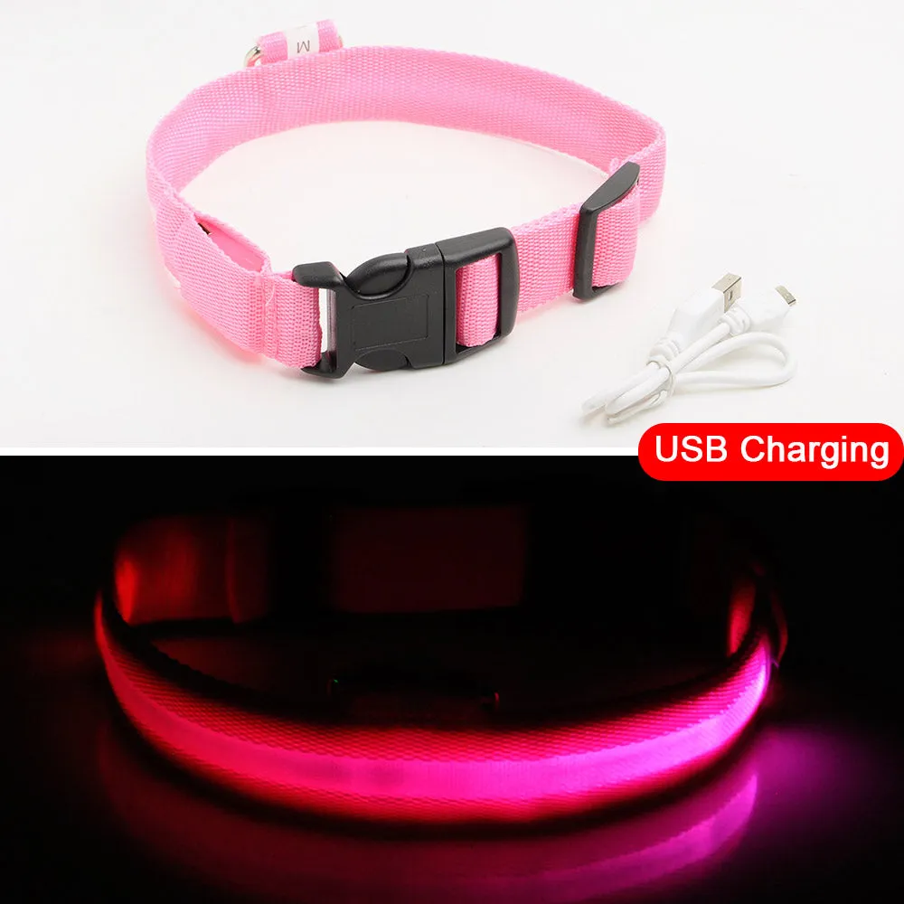 USB Charging Led Dog Collar Anti-Lost/Avoid Car Accident Collar