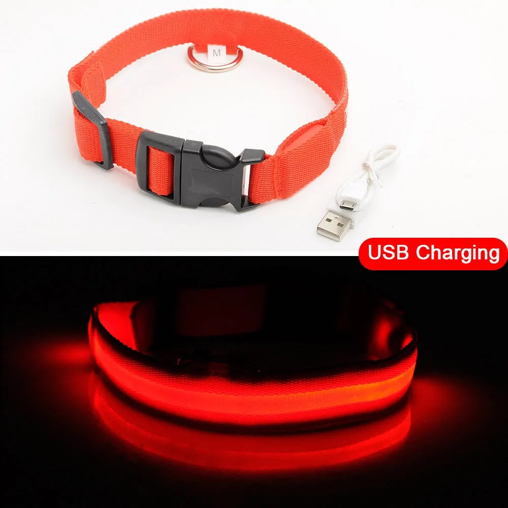 USB Charging Led Dog Collar Anti-Lost/Avoid Car Accident Collar