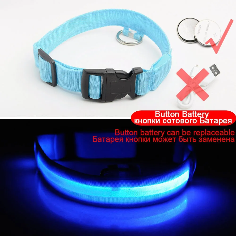 USB Charging Led Dog Collar Anti-Lost/Avoid Car Accident Collar