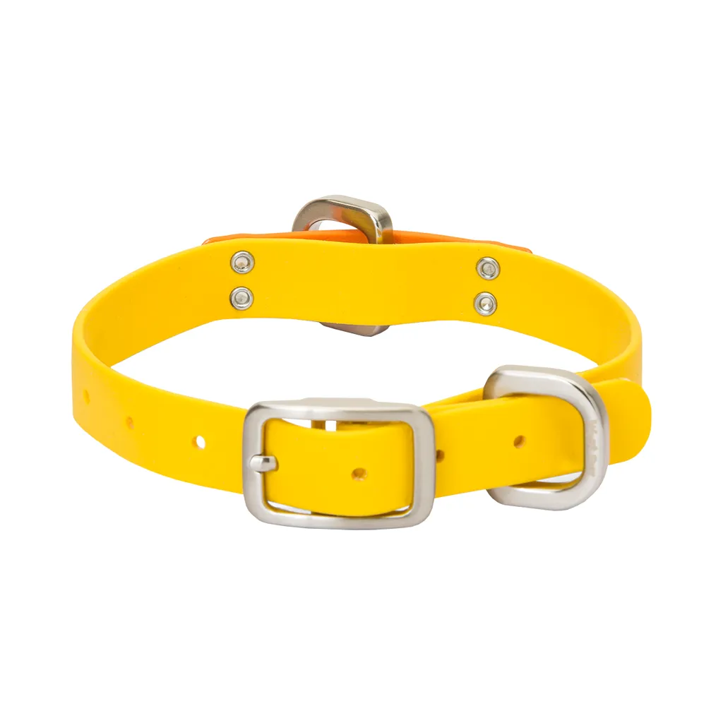 West Paw Jaunts Collar *Clearance*